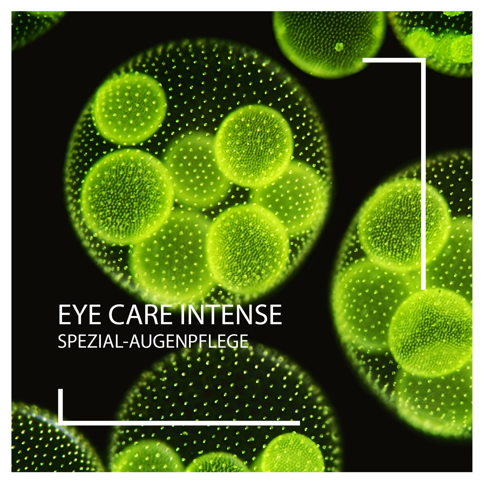 Neuheiten 2024: Eye Care Intense Spezial-Augenpflege