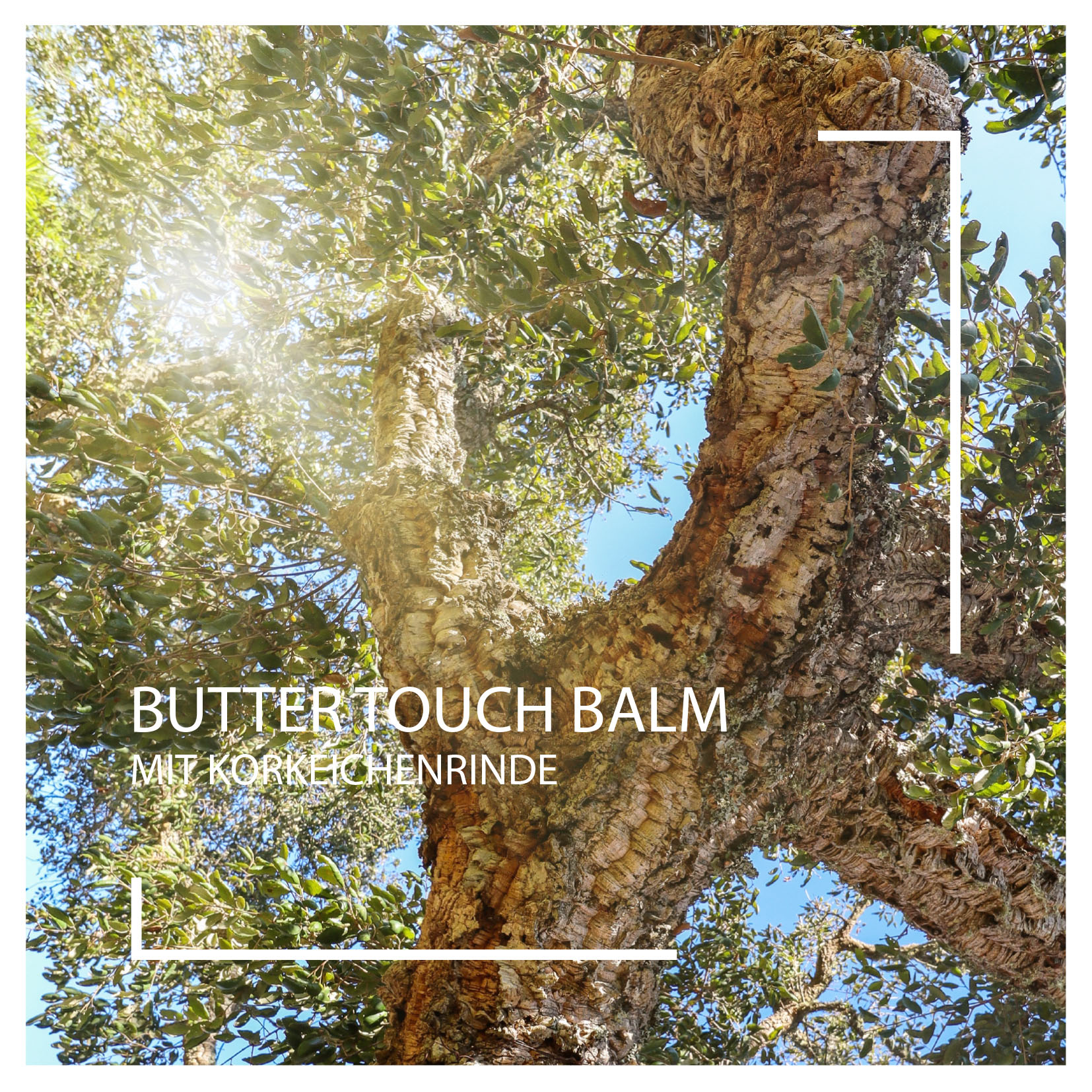 Neuheiten 2025: Butter Touch Balm mit Korkeiche I Beautyspa Servicegesellschaft