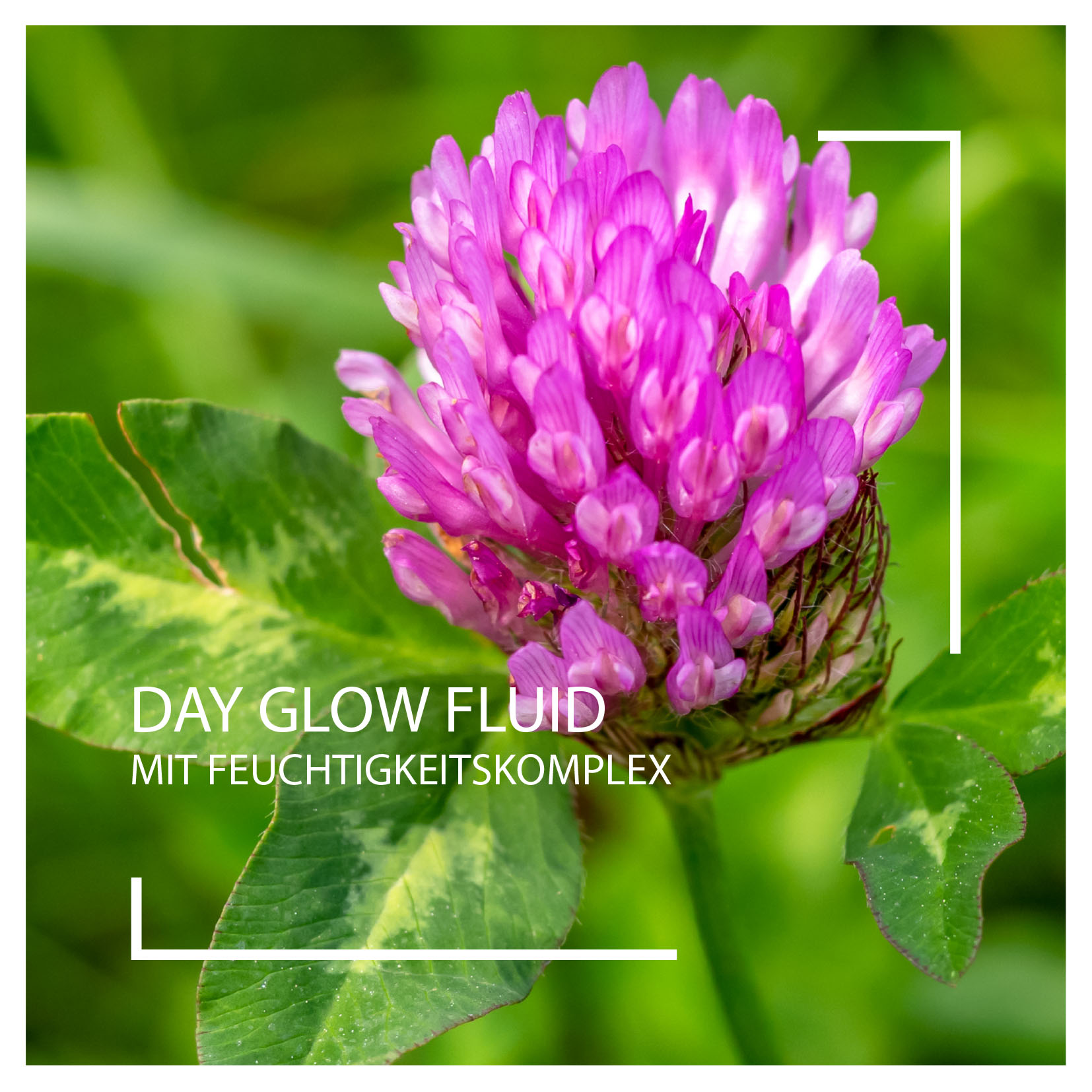 Neuheiten 2025: Day Glow Fluid mit pflanzlichem Feuchtigkeitskomplex I Beautyspa Servicegesellschaft