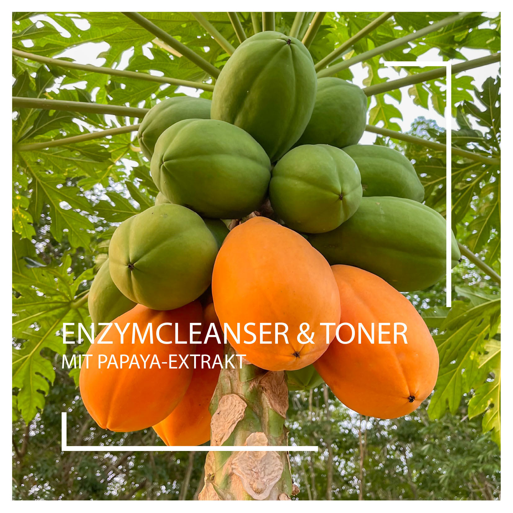 Neuheiten 2025: Enzymcleanser und Toner I Beautyspa Servicegegesellschaft