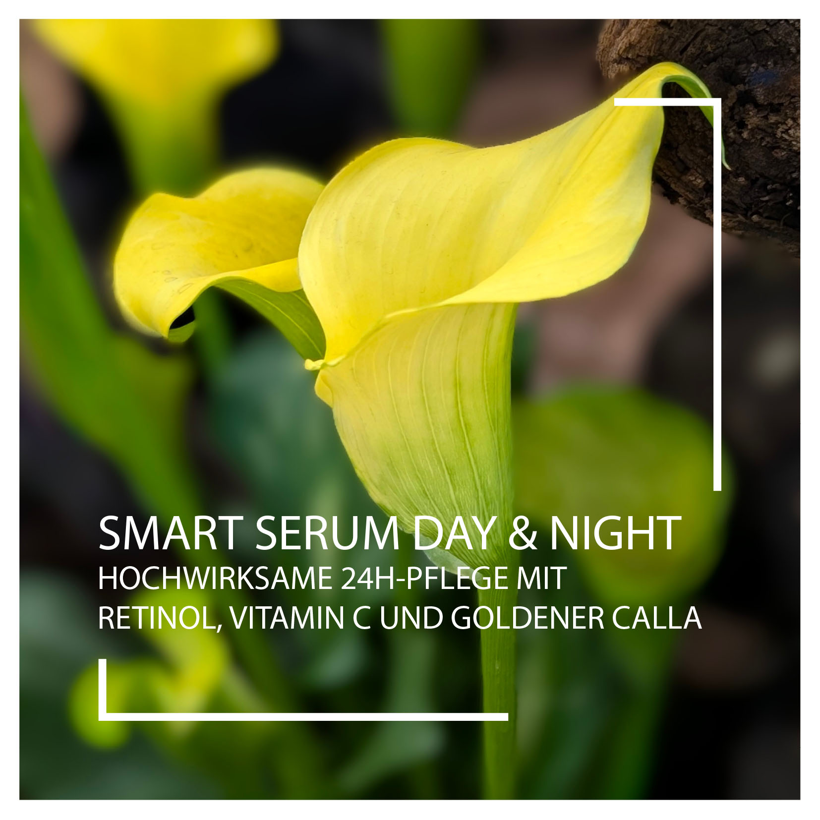 Neuheiten 2025: Smart Serum Day und Night I Beautyspa Servicegesellschaft